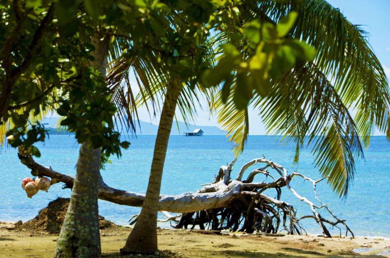 Raiatea - Studio Tenape Tevaitoa المظهر الخارجي الصورة