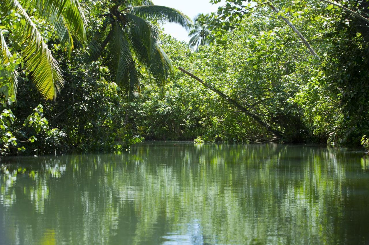 Raiatea - Studio Tenape Tevaitoa المظهر الخارجي الصورة